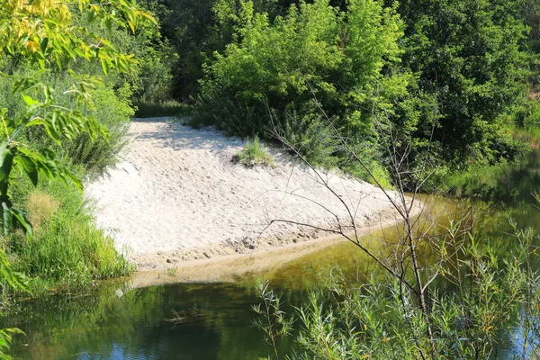 晴天の夏の緑の木や他の緑の植物の間の澄んだ川の曲がりくねった美しい砂浜 — ストック写真
