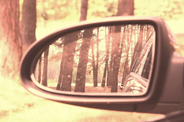 Car mirror with image of summer pine forest in reflection in good clear summer weather as popularization of automotive tourism