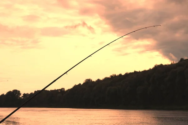 釣り用フィーダー ケーブルとフィーダーの炭素棒をクローズ アップ — ストック写真
