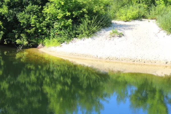 晴天の夏の緑の木や他の緑の植物の間の澄んだ川の曲がりくねった美しい砂浜 — ストック写真