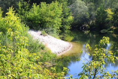 Açık havalarda yaz aylarında yeşil ağaçlar ve diğer yeşil bitkiler arasında açık nehir Bend güzel kumlu plaj