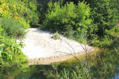 Açık havalarda yaz aylarında yeşil ağaçlar ve diğer yeşil bitkiler arasında açık nehir Bend güzel kumlu plaj