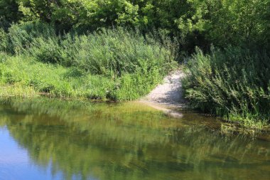 Açık havalarda yaz aylarında yeşil ağaçlar ve diğer yeşil bitkiler arasında açık nehir Bend güzel kumlu plaj