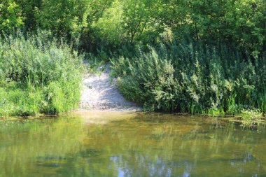 Açık havalarda yaz aylarında yeşil ağaçlar ve diğer yeşil bitkiler arasında açık nehir Bend güzel kumlu plaj