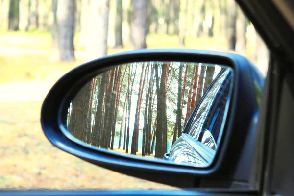 Lusterko Samochodowe Wizerunkiem Letniego Lasu Sosnowego Refleksji Dobrej Jasnej Pogodzie — Zdjęcie stockowe