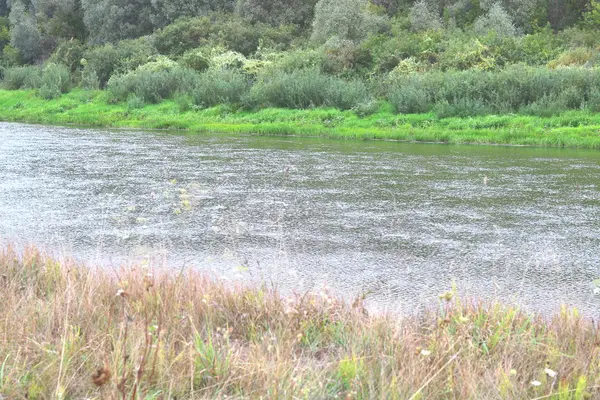 Cama Río Verano Sobre Fondo Hierba Verde Árboles Verdes Buen — Foto de Stock