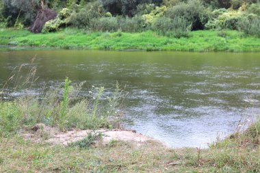 Güzel havalarda yeşil çim ve yeşil ağaçların arka planda yaz aylarında Nehir yatak