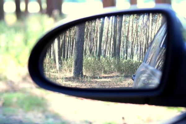 Zrcadlo Automobilu Obrazem Letního Borového Lesa Přemýšlení Dobrém Jasněm Letním — Stock fotografie
