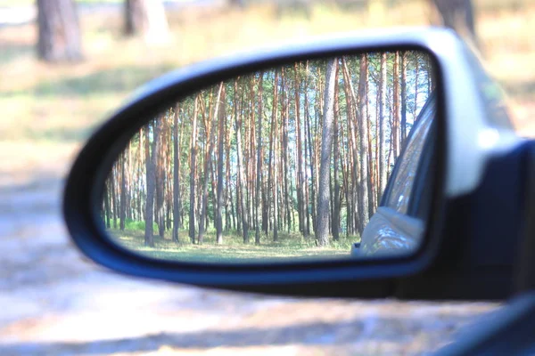 Car mirror with image of summer pine forest in reflection in good clear summer weather as popularization of automotive tourism