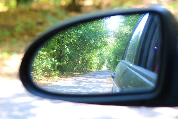 Car Mirror Image Summer Forest Reflection Good Clear Weather Popularization — Stock Photo, Image