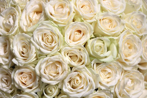 Fundo Floral Natural Com Buquê Rosas Brancas — Fotografia de Stock