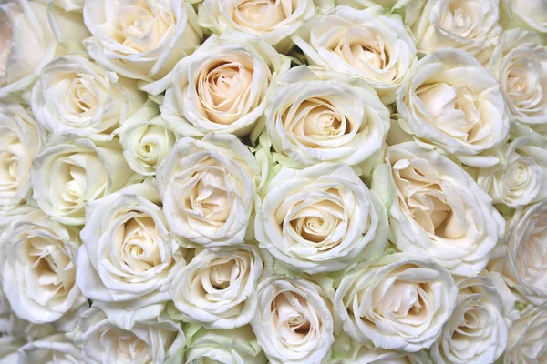 Beyaz Gül Buketi Ile Doğal Çiçek Arka Plan — Stok fotoğraf