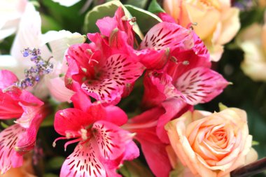 Buket farklı çiçeklerin güzel parlak arka plan