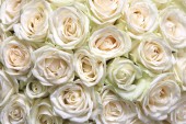 Картина, постер, плакат, фотообои "natural floral background with bouquet of white roses", артикул 303086844