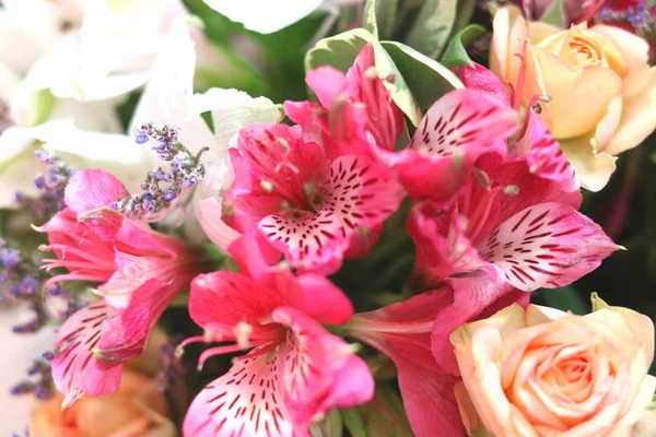 Buket farklı çiçeklerin güzel parlak arka plan