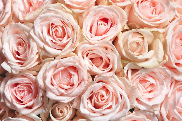 Натуральний Квітковий Фон Букетом Рожевих Троянд — стокове фото