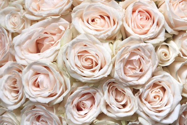 Fondo Floral Natural Con Ramo Rosas Rosadas — Foto de Stock