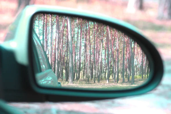 Zrcadlo Automobilu Obrazem Letního Borového Lesa Přemýšlení Dobrém Jasněm Letním — Stock fotografie