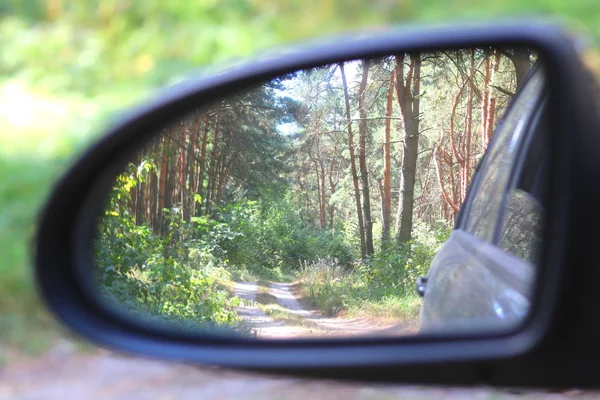 Car mirror with image of summer pine forest in reflection in good clear summer weather as popularization of automotive tourism