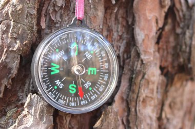 Ağaç kabuğunun arka planında klasik pusula