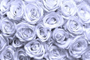 Gül buketli abract çiçek arkaplan