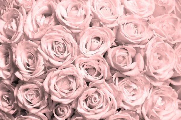 Naturlig Blommig Bakgrund Med Bukett Rosa Rosor — Stockfoto
