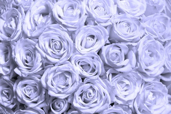 Fondo Floral Absract Con Ramo Rosas — Foto de Stock
