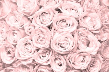 Pembe gül buketi ile doğal çiçek arka plan