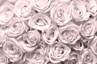 Pembe gül buketi ile doğal çiçek arka plan