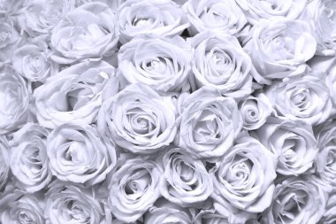 Gül buketli abract çiçek arkaplan