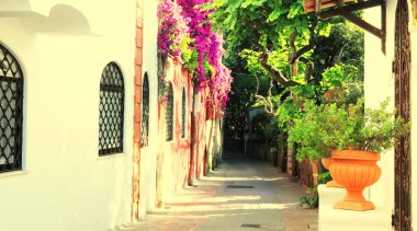 Avrupa 'daki İtalya tatil köyünde, tropik bitkiler ve parlak kırmızı çiçeklerle dolu güzel, dar bir ara sokak.