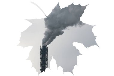 Beyaz arka plandaki soyut akçaağaç yaprağının bir parçası olarak fabrika bacası ve duman kirletici çevre ve gezegenin ekolojisinin soyut fotoğrafı