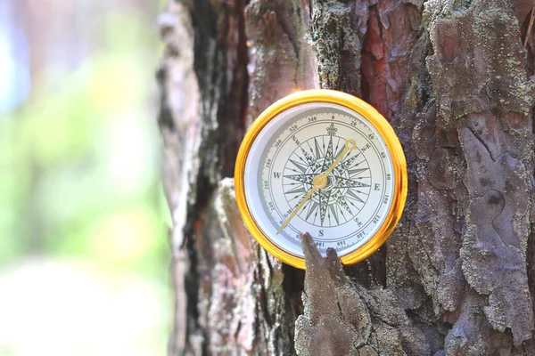 Kulatý Kompas Přirozeném Pozadí — Stock fotografie