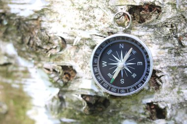 turizm, seyahat ve açık hava faaliyetlerinin sembolü olarak doğal arka plan üzerindeki pusula