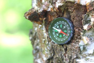 turizm, seyahat ve açık hava faaliyetlerinin sembolü olarak doğal arka plan üzerindeki pusula