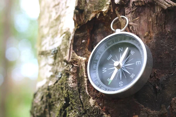 Kruhový Kompas Přírodním Pozadí Jako Symbol Cestovního Ruchu Cestování Outdoorových — Stock fotografie