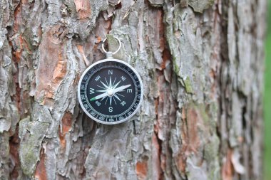 turizm, seyahat ve açık hava faaliyetlerinin sembolü olarak doğal arka plan üzerindeki pusula