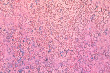 Yüzeyi pürüzlü eski kırmızı boyalı güzel bir klasik arka plan, eski pürüzlü yüzeyde kırmızı boya izleri ve pürüzlü dokuları var.