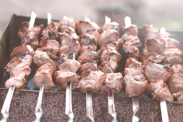 Cooking Meat Skewers Barbecue Picnic — Stock Photo, Image