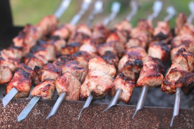 Mangalda şişte et pişirmek piknikte