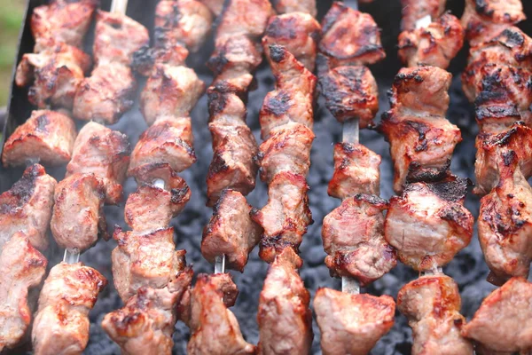 Főzés Hús Nyársak Barbecue Piknik — Stock Fotó