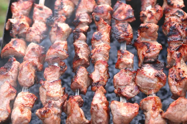 Cuisson Viande Sur Brochettes Barbecue Sur Pique Nique — Photo