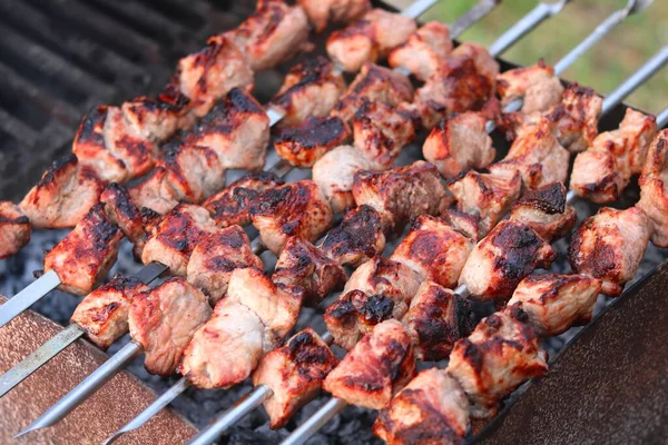 Cuisson Viande Sur Brochettes Barbecue Sur Pique Nique — Photo