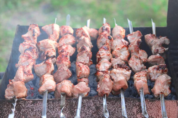 Matlagning Kött Spett Grill Picknick — Stockfoto