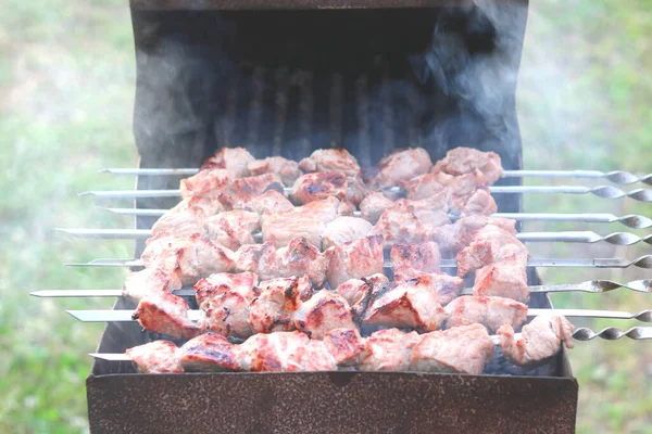 ピクニックのバーベキューで串焼きに肉を調理 — ストック写真