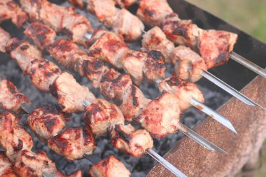 Mangalda şişte et pişirmek piknikte