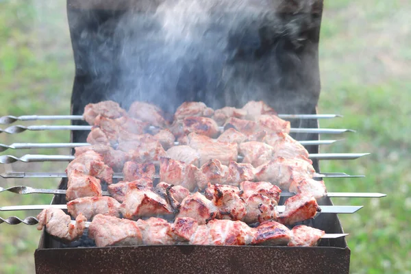 Cocinar Carne Pinchos Barbacoa Picnic —  Fotos de Stock