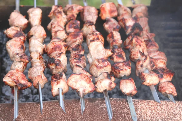 ピクニックのバーベキューで串焼きに肉を調理 — ストック写真