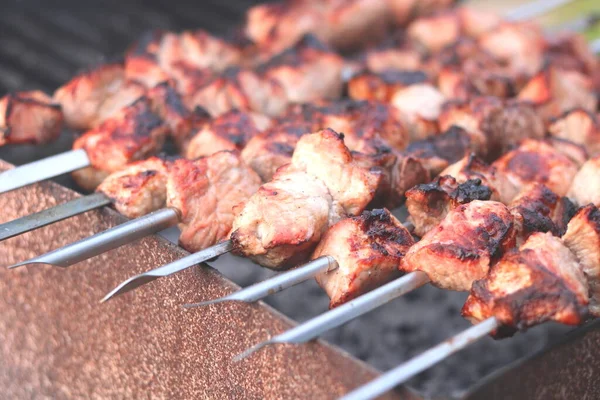 ピクニックのバーベキューで串焼きに肉を調理 — ストック写真