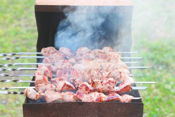 Μαγείρεμα Κρέατος Σουβλάκια Στο Μπάρμπεκιου Στο Πικνίκ — Φωτογραφία Αρχείου